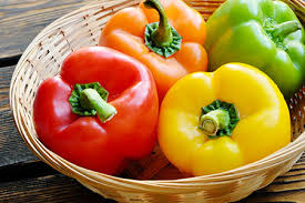 فلفل دلمه ای تازه و رنگارنگ با کیفیت عالی